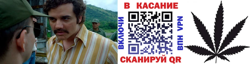Наркошоп купить АМФ  КОКАИН  Альфа ПВП  Бошки Шишки  Меф мяу мяу  Гашиш  Елизово