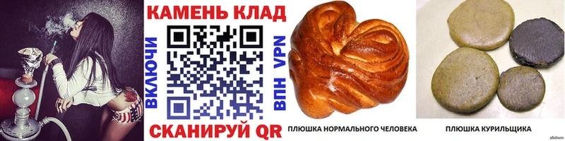 Купить  Елизово  Гашиш 40% ТГК 