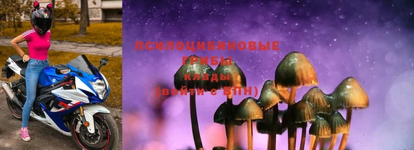 молекула духа Коряжма
