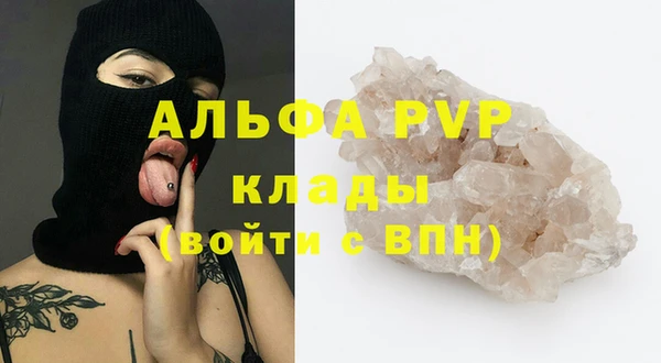 молекула духа Коряжма