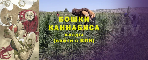гашик Костерёво