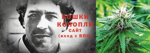 гашик Костерёво