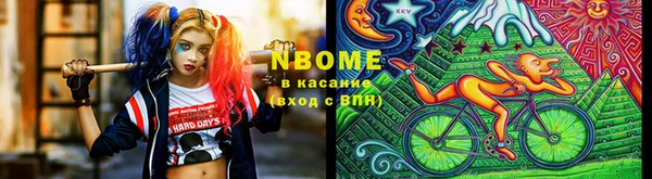 гашик Костерёво