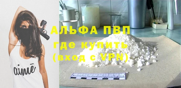 молекула духа Коряжма
