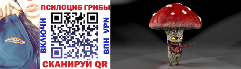 Купить где  Елизово  Галлюциногенные грибы Psilocybine cubensis 