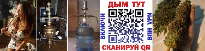 Купить  Елизово  Шишки марихуана план 